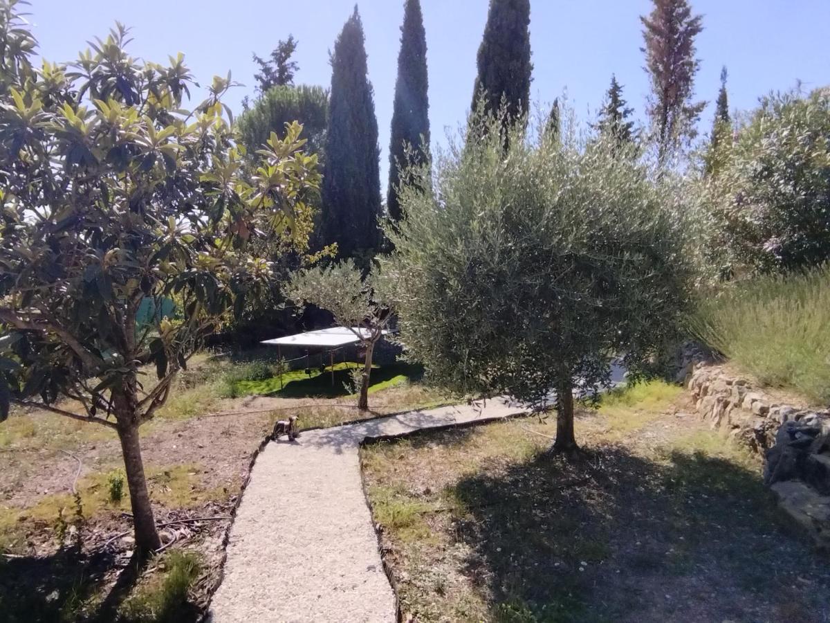 La Villa Des Six Ifs - Le Murier Flayosc Exterior photo